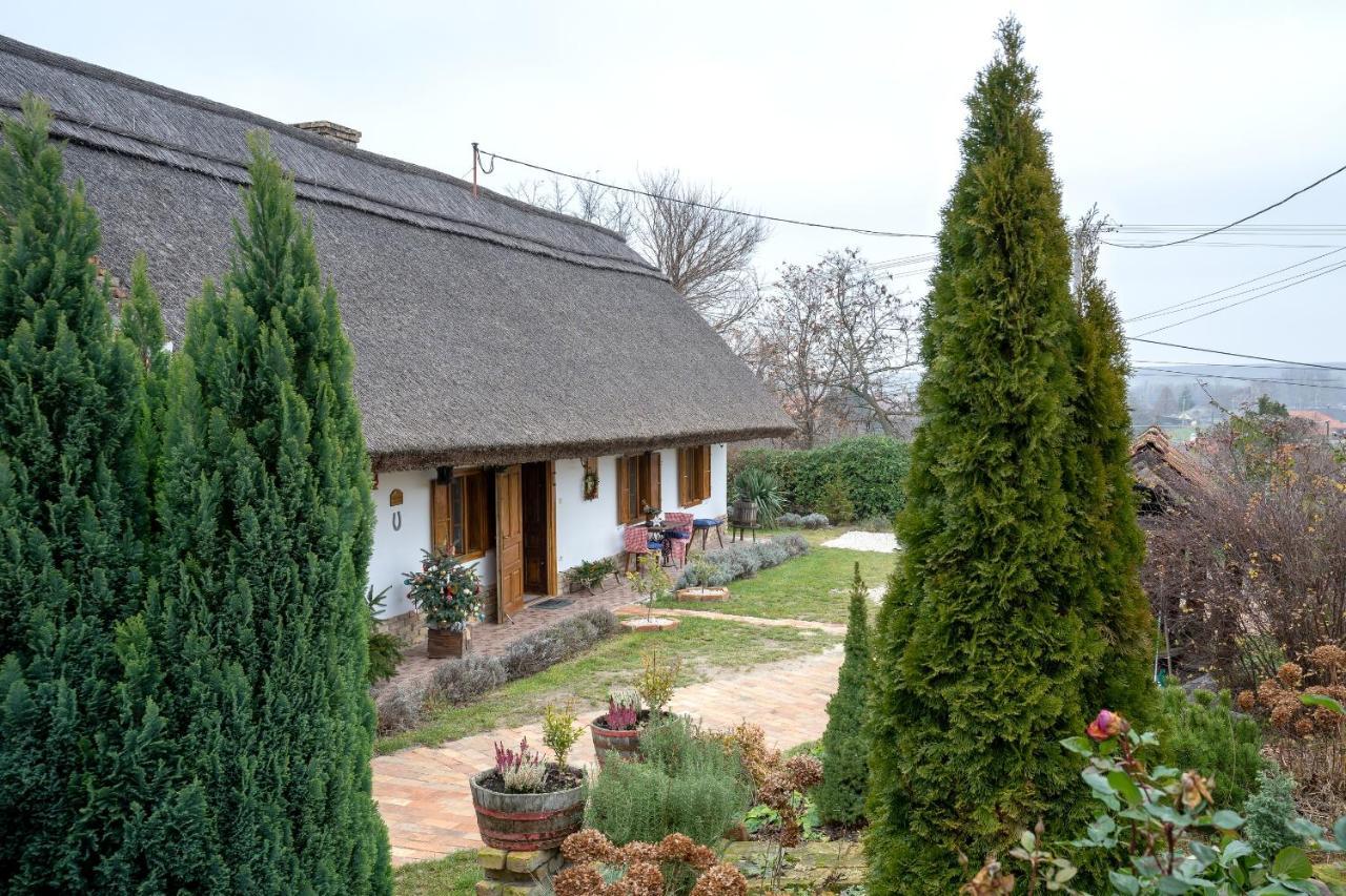 Magdolna Vendeghaz Maganszallashely Écs Exteriér fotografie